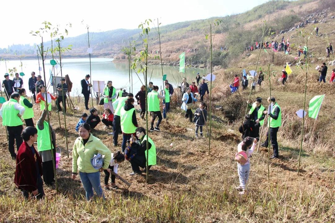 天嬌集團(tuán)開展義務(wù)植樹活動