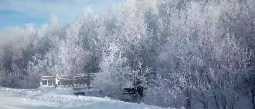 奕行記|奕路向北，駛向雪國(guó)阿爾山